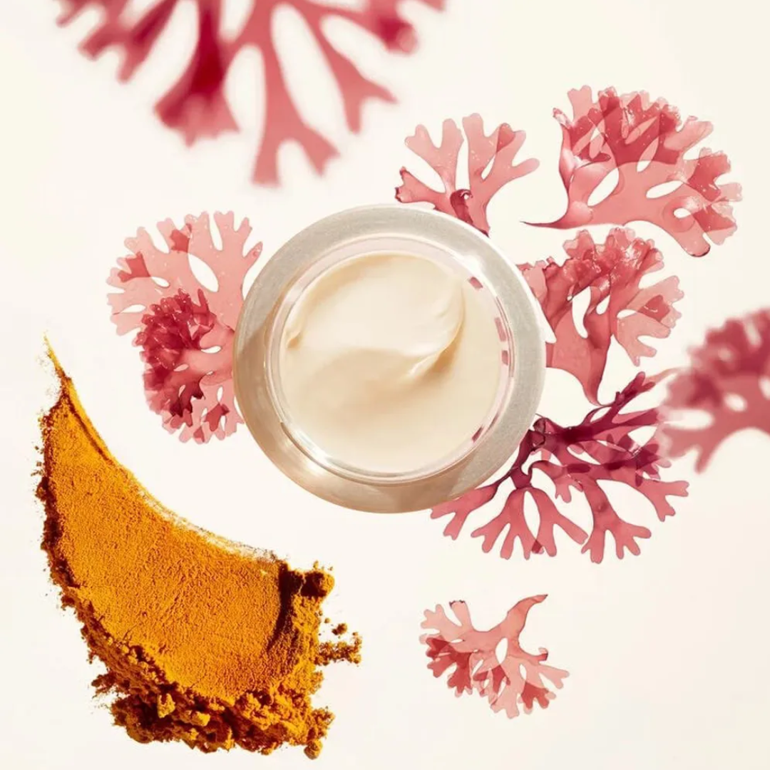 Shiseido Benefiance Creme Noturno Antirrugas Overnight